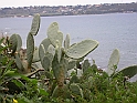 Augusta - Mare